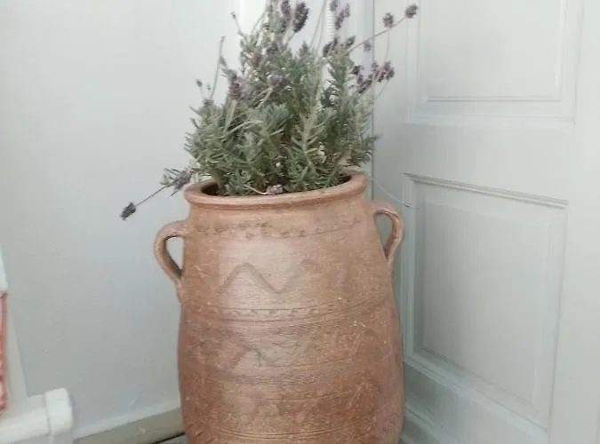 Διαμέρισμα Town